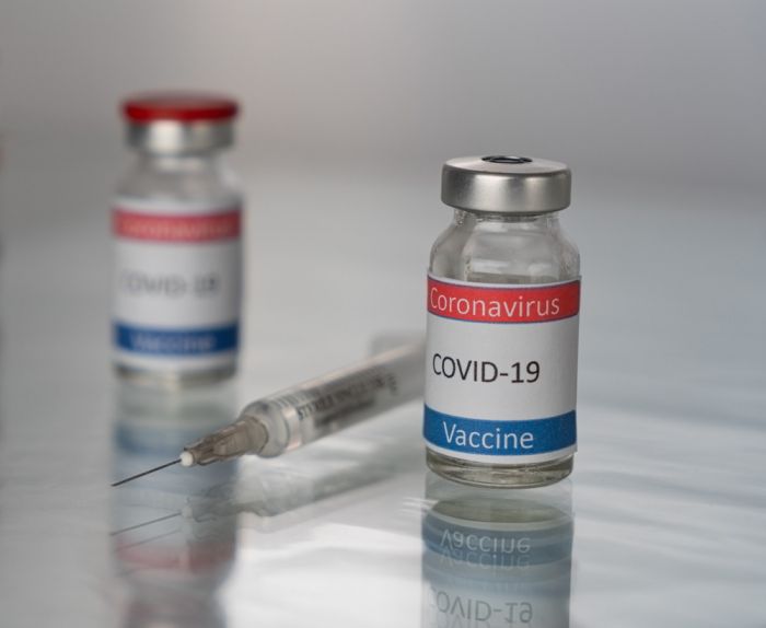 Центр Гамалеи начал испытания на животных новой вакцины против коронавируса.
